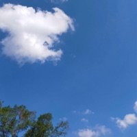 Last Wish - Single - NW