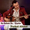 Ha Babam Ha