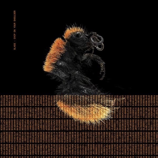 Chip on your shoulder - Single