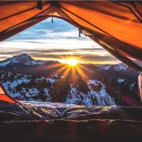 Snowflakes - Single - Jay-Lounge