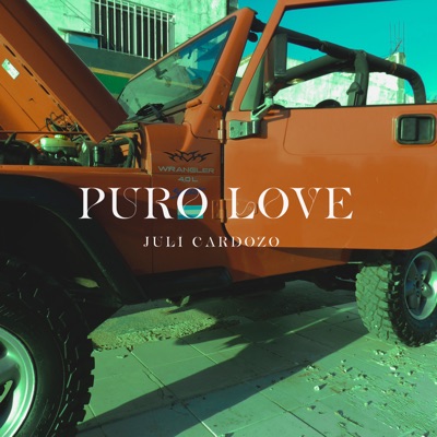 Puro Love - Single