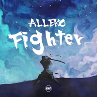 Fighter - Single - Alleko