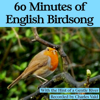 60 Minutes of English Birdsong (With the Hint of a Gentle River) - Nature Sounds - Charles Vald