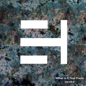 What is It (feat. Paola) - Single