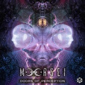 Doors of Perception artwork