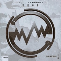 Drop - Single - Gandolfi B. & RQntz