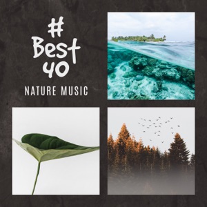 # Best 40: Nature Music for Relaxation, Meditation, Spa, Wellness & Deep Sleep