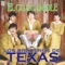 El Conejero - Los Braceros De Texas lyrics