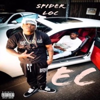 Ec - Single - Spider Loc