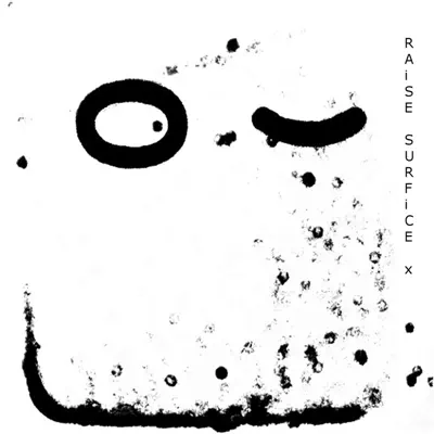 Ascolta 'Surfice X' di Raise