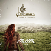 Prituri Se Planinata (Nit Grit Remix) song art