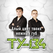 Алый цвет твоих нежных губ - ТУ-134