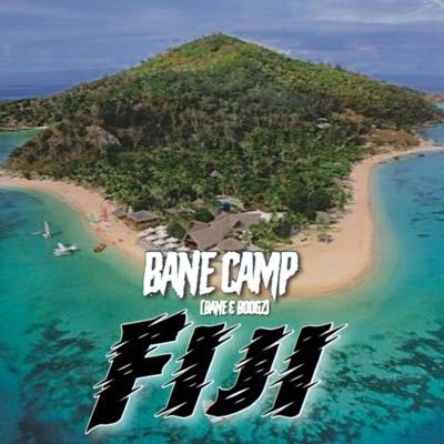 Fiji (feat. Bane & Boogz) - Single