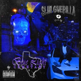 ChinChilla Rilla Slim Guerilla