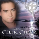 Celtic Charm artwork