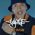  - Bête de flow