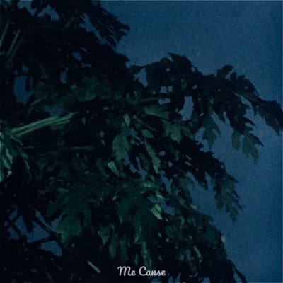 Me Cansé - Single