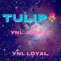 Tulip (feat. Ynl Jodi Jo) - Single - Ynl Loyal