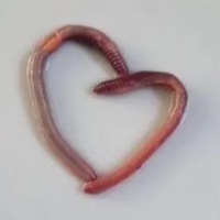 get it right - Single - Heychico