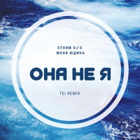 Она не я (TEI Remix) - Single - Storm DJs & Женя Юдина