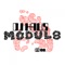 Modul8 - DJ Haus lyrics