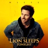 The Lion Sleeps Tonight by Wiese iTunes Track 1