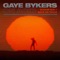 Sodium Sun (Melting Our Minds) [Remix] - Gaye Bykers On Acid lyrics