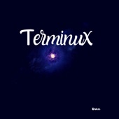 Terminux artwork