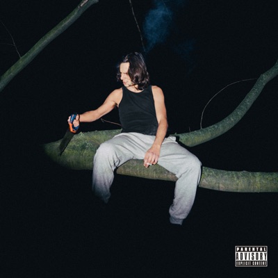 DIARIO DI UN FALLITO - Single