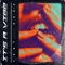 It's a Vibe (feat. Reaz) [Extended Version] - Julian Paul lyrics
