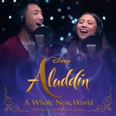 A Whole New World (From "Aladdin") artwork