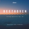 Quatuor Sine Nomine & Oliver Triendl - String Quartet No. 6 in B-Flat Major, Op. 18, No. 6: I. Allegro con brio