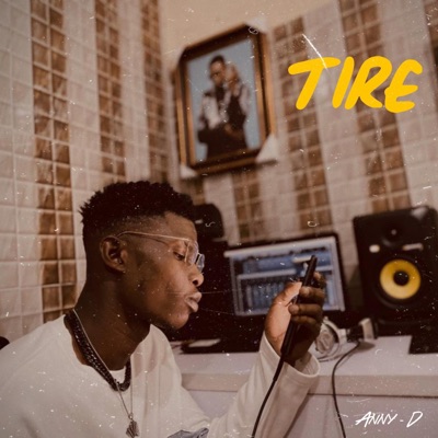Tire - Single