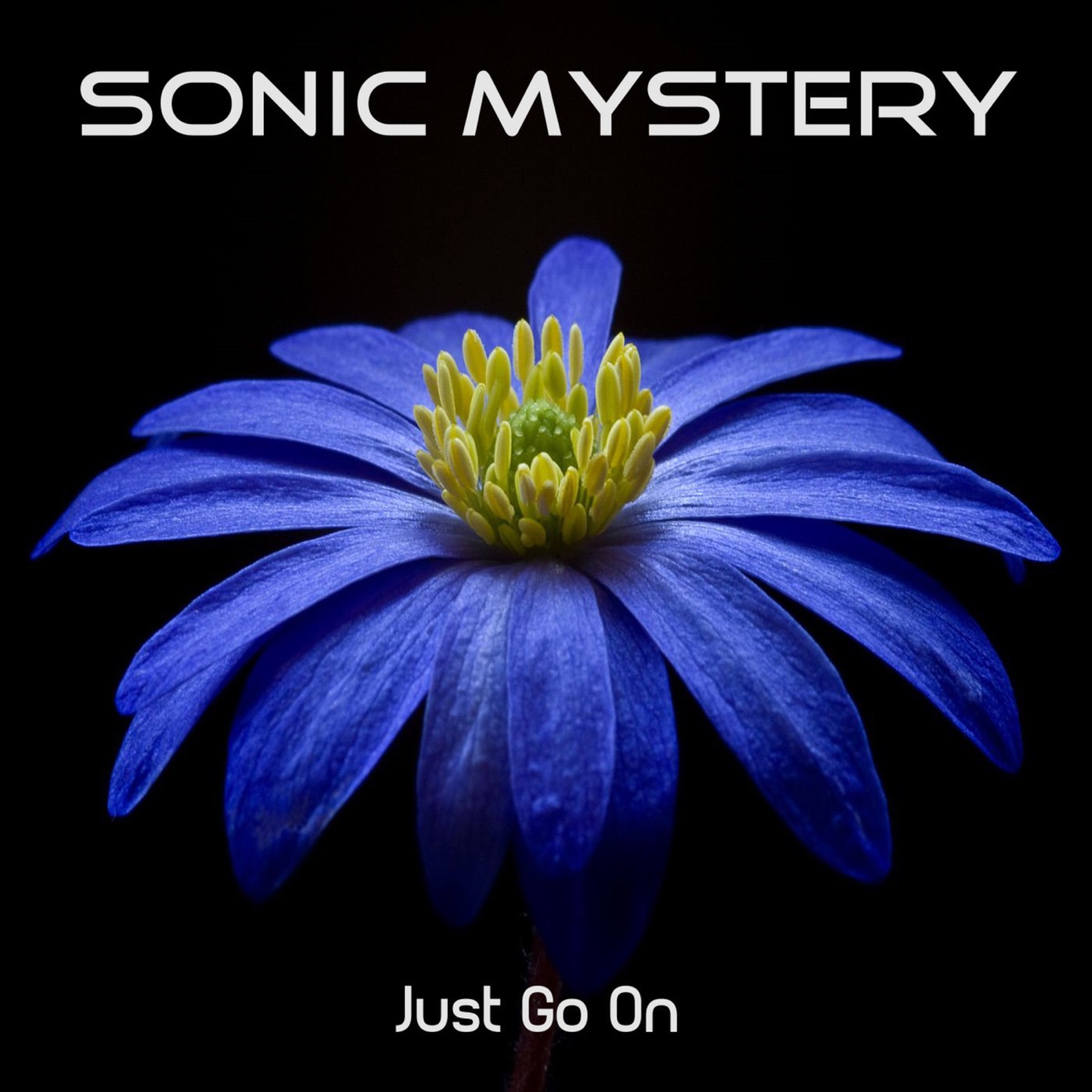  Sun Believer : Sonic Mystery: Música Digital