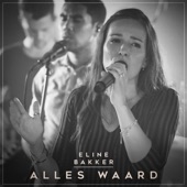 Alles Waard artwork