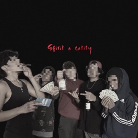 spirit n entity Project KD