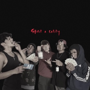 spirit n entity