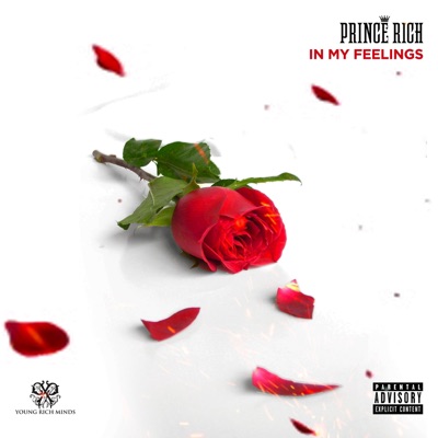 In My Feelings - Single