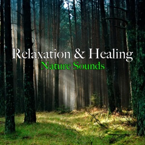 Relaxation & Healing Nature Sounds