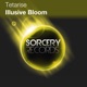 Illusive Bloom Single