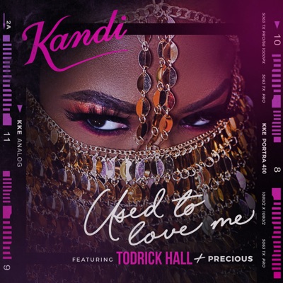 Used To Love Me (feat. Todrick Hall & Precious) - Single