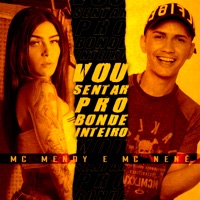 Vou Sentar pro Bonde Inteiro - Single