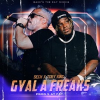 Album cover for Gyal a Freaks (feat. Sech) by Toby King