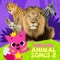 Kangaroo - Pinkfong lyrics