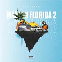 Made in Florida 2 - EP - DreLee863 & AstroMadeit
