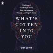 What's Gotten Into You - Dan Levitt Cover Art