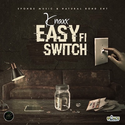 Easy Fi Switch - Single