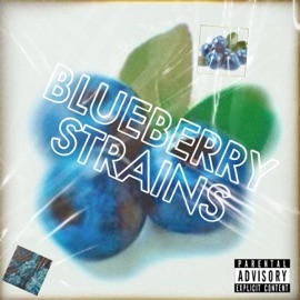 Blueberry Strains (feat. Txby) Angelthekid