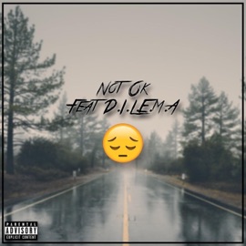 Not OK (feat. D.I.L.E.M.A.) Dkrapartist
