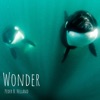 Wonder - Single